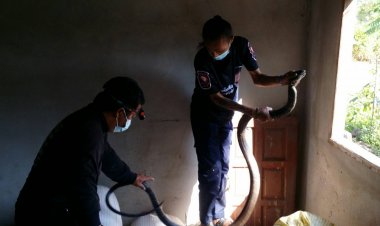 หวิดโดนฉก!ตาวัย70ถึงกับผงะงูจงอางยักษ์ซุกตัวอยู่ในห้องข้าว