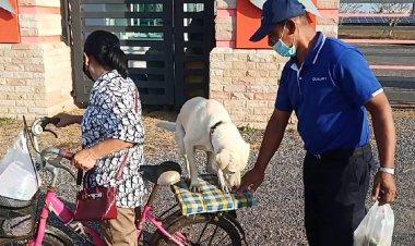ใครเห็นก็เอ็นดู!"เจ้านมสด"สุนัขแสนรู้นั่งซ้อนท้ายจักรยานส่งอาหารทุกวัน