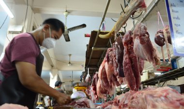 หมูหน้าฟาร์มทางใต้ไม่ขาดหากหน้าฟาร์มลดราคาเขียงหมูไม่ปรับขึ้น