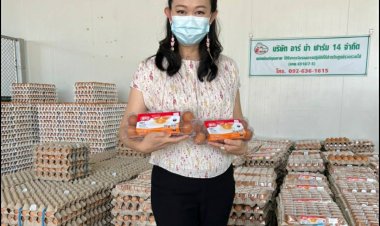 ไข่ไก่ “พรีเมียม” คัดพิเศษ จ่ายเพิ่มอีกนิดซื้อคุณภาพชีวิตที่ดี