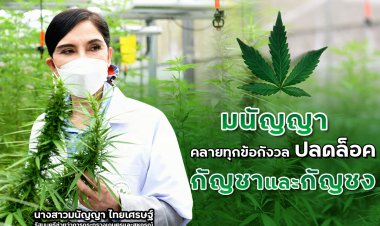 "มนัญญา"ย้ำปลดล็อคกัญชา กัญชงต้องไม่ส่งผลกระทบเกษตรกรที่จะปลูกในประเทศ
