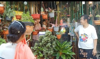 ส่องเลขเด็ด! เลขที่บ้านแบบรัวๆหลังงูซุกห้องน้ำ(มีคลิป)