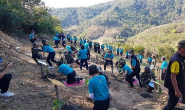 กฟผ. Kick off ปลูกป่าเศรษฐกิจเมืองน่าน