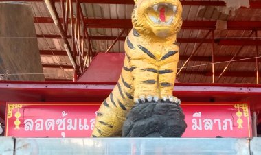 ตรุษจีนนี้ชี้พิกัดสายบุญไหว้เทพเจ้าแก้ปีชง"เจ้าพ่อเสือ"องค์ใหญ่ที่สุดในโลก