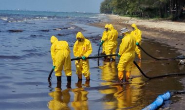 เปิดภาพคราบน้ำมันเต็มหาดแม่รำพึงเข้าขั้นวิกฤติ