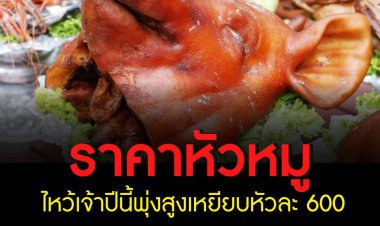 ราคาหัวหมูไหว้เจ้าปีนี้พุ่งสูงเหยียบหัวละ 600 จากเดิม 350-400 บาท