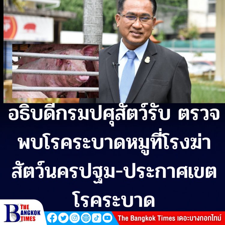 ปศุสัตว์รับตรวจพบ ASF โรคระบาดหมูที่โรงฆ่าสัตว์นครปฐม จ่อทำลายสุกรที่สงสัยว่าเป็นโรค -ประกาศเขตโรคระบาดรัศมี 5 กม.-รายงานองค์การโรคระบาดสัตว์ระหว่างประเทศ (OIE)