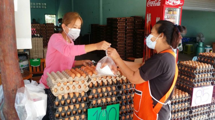 แม่ค้าขายไก่เมืองอุทัยธานีสุดเซ็ง!พิษไข่แพงคนสั่งซื้อแก้บนหด