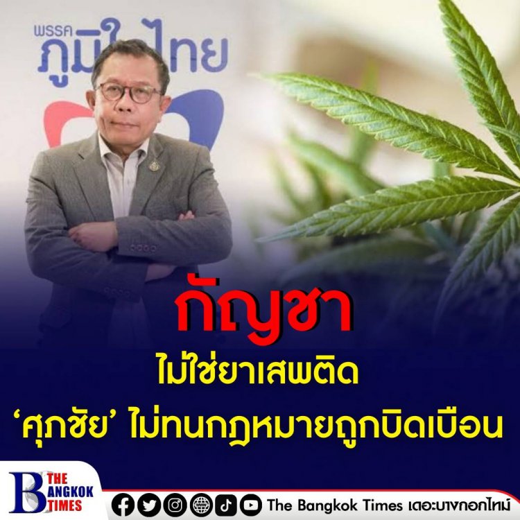 ‘กัญชา’ ไม่ใช่ยาเสพติด ‘ศุภชัย’ ไม่ทนกฎหมายถูกบิดเบือน