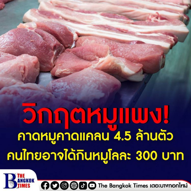 นักวิชาการคาดปีนี้ หมูขาดแคลน 4.5 ล้านตัว คนไทยอาจได้กินหมูกิโลกรัมละ 300 บาท
