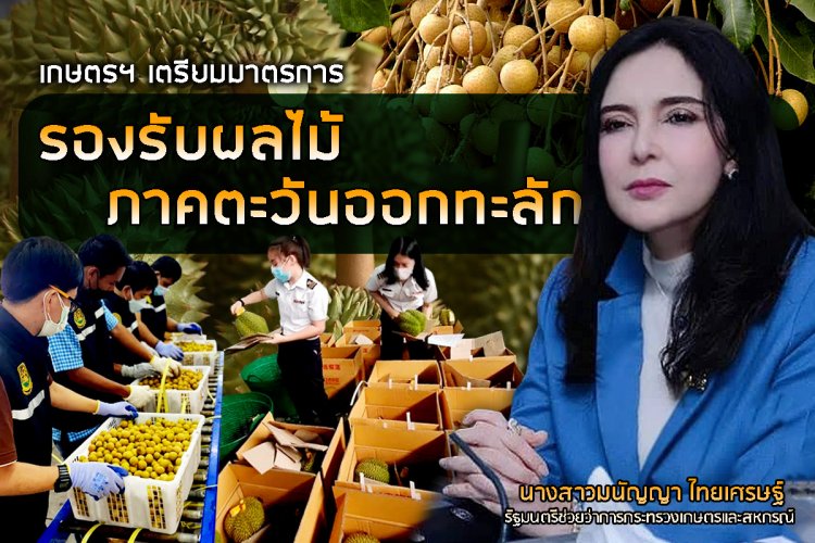 เกษตรฯ เตรียมมาตรการรองรับผลไม้ภาคตะวันออกทะลัก