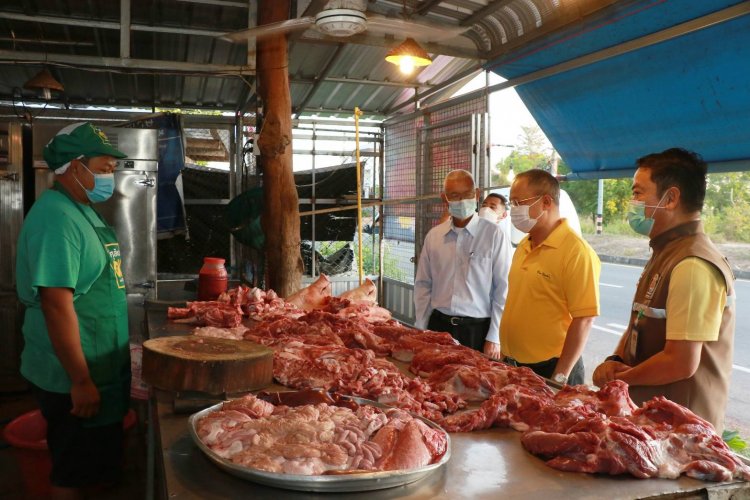 ต้นทุนพุ่งแถมอหิวาต์หมูระบาดหนักผู้เลี้ยงสุกรเลิกกิจการ (ชมคลิป)