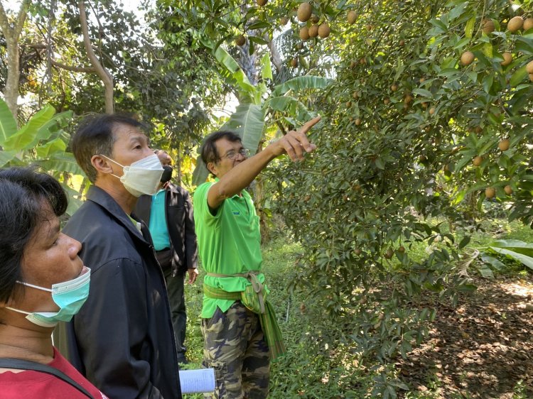 เกษตรฯ ลพบุรี นำคณะเกษตรทฤษฎีใหม่เยือนถิ่นเพชรบุรี