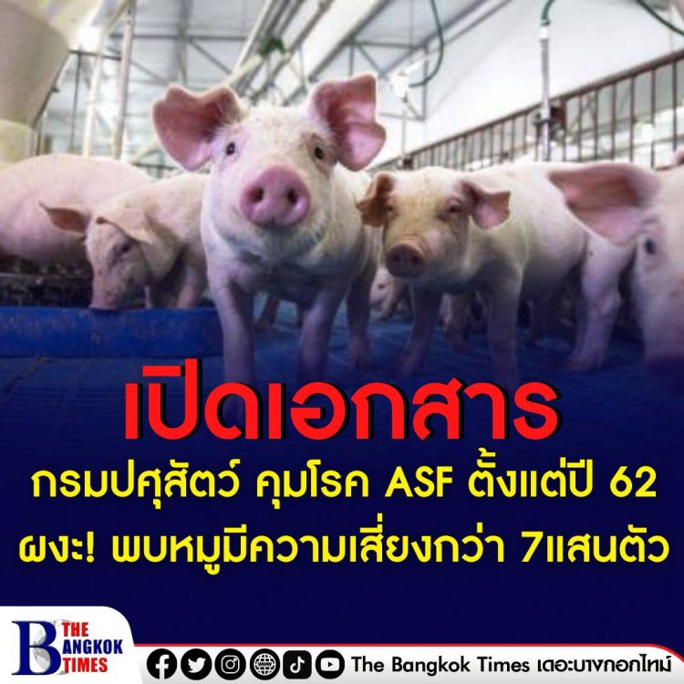 เปิดเอกสาร กรมปศุสัตว์ คุมโรค ASF ตั้งแต่ปี 2562 ผงะ! พบหมูมีความเสี่ยงกว่า 7แสนตัว