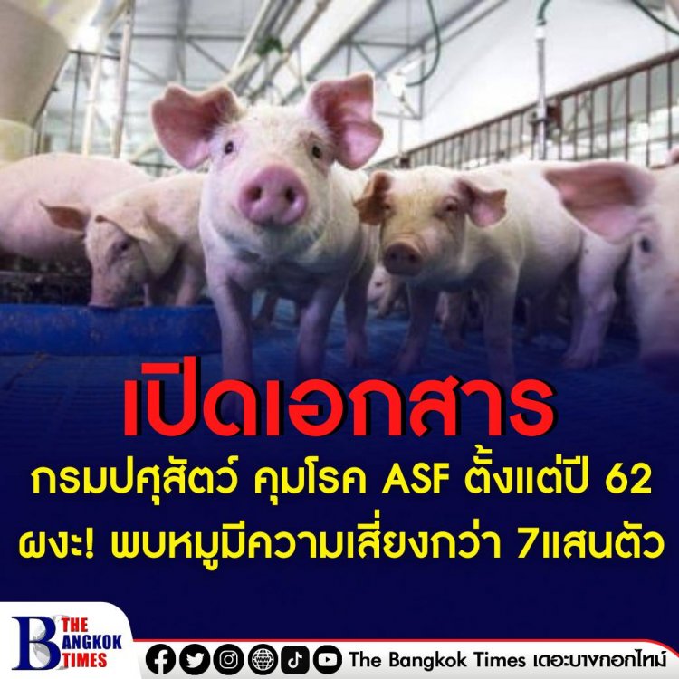 เปิดเอกสาร กรมปศุสัตว์ คุมโรค ASF ตั้งแต่ปี 2562  ผงะ! พบหมูมีความเสี่ยงกว่า 7แสนตัว