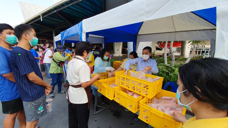 ทต.แพรกษาขายหมูราคากก.ละ150ลดค่าครองชีพปชช.(มีคลิป)