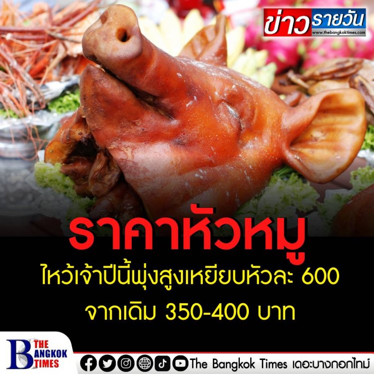 ราคาหัวหมูไหว้เจ้าปีนี้พุ่งสูงเหยียบหัวละ 600 จากเดิม 350-400 บาท