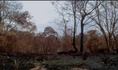 ล่ามือมืดลอบจุดไฟเผาป่าลามทับลานมอดแล้ว (มีคลิป)