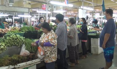 ภัยแล้งกระทบแหล่งปลูกผักภาคใต้-กลางพาเหรดขยับไม่หยุด (มีคลิป)