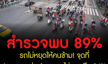 สำรวจพบ 89% รถไม่หยุดให้คนข้าม! จุดที่ ‘หมอกระต่าย’ ถูกชน ไม่จอดถึง 94%