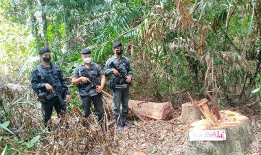 จนท.เข้าตรวจยึดคืนผืนป่าแก๊งมอดไม้ลักลอบตัดไม้บนเทือกเขาสันกาลาคีรี
