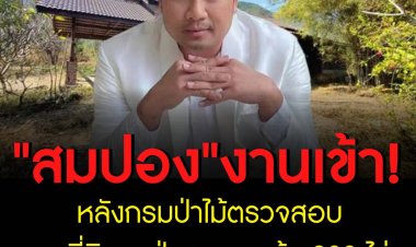"สมปอง" งานเข้าอีก หลังกรมป่าไม้ตรวจสอบ พบที่ดินรุกป่าสงวนฯแล้ว 200 ไร่