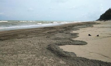 อ.ธรณ์ เผยที่มา "หินภูเขาไฟ" ลอยเกลื่อนชายฝั่งอ่าวไทยตอนล่างหลายจังหวัด