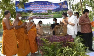 วังหินคืนต้นไม้ให้แผ่นเดินเฉลิมพระเกียรติ 70 มหาวชิราลงกรณ (ชมคลิป)