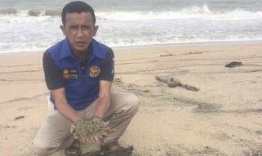 พ่อเมืองนราฯลงพื้นที่สำรวจหินภูเขาไฟลอยเกลื่อนหาดบ้านทอด