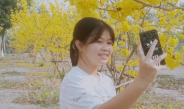 ดอกเหลืองอินเดียอร่ามตารอบโบสถ์ปราจีนบุรี (มีคลิป)