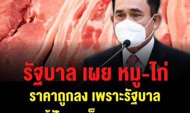 โฆษกรัฐบาลโว หมู-ไก่ ราคาถูกลง เพราะรัฐบาลแก้ปัญหาเร็วและถูกจุด