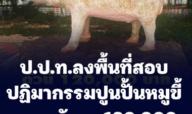 ป.ป.ท.ลงพื้นที่สอบ ดราม่าปฏิมากรรมปูนปั้น หมูขี้กลาก ราคา 120,000 บาท