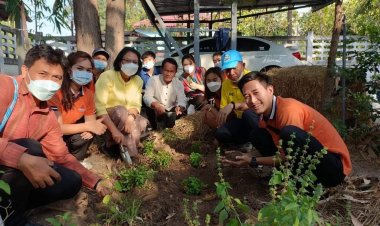 รองพ่อเมืองศรีสะเกษลุยปลูกผักสวนครัว รั้วกินได้ สู่ความมั่นคงทางอาหาร