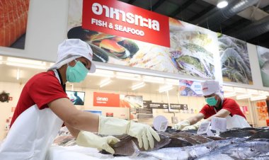 ซีฟู้ดเลิฟเวอร์ไม่สะดุด หากรู้จุดสังเกตอาหารทะเลปลอดภัย !