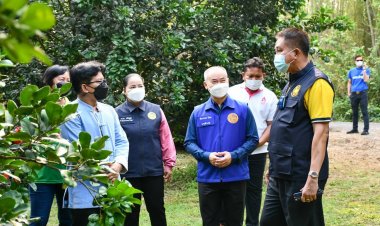 ผู้ตรวจราชการมท.พร้อมคณะลงพื้นที่แปลงเรียนรู้การผลิตไม้ผลสู่มาตรฐานเกษตรกรศรีมหาโพธิ