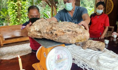 สุดว้าว!พบอำพันกลางทะเลโดยบังเอิญที่ตากใบ