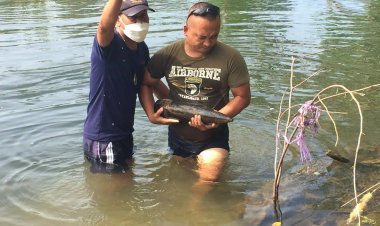 ผงะชาวบ้านลงหาปลาในคลอง เจอกระสุนปืนใหญ่โผล่