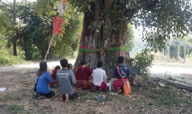 เซียนหวยแห่ส่องเลขโผล่ต้นโพธิ์กะเหรี่ยง!!อายุเกือบ300 ปี