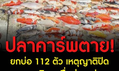 ตายยกบ่อ 112 ตัว เหตุญาติปิดออกซิเจนเพื่อถ่ายรูป