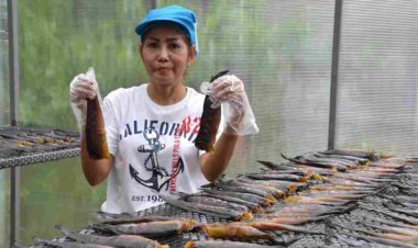 'ปลาดุกร้าสมุนไพร'ต้นตำรับเงาะป่าซาไก ปลอดสาร รสเด็ดเมืองพัทลุง