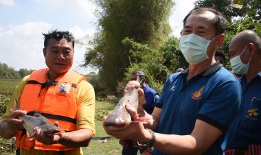 อบต.โนนสังข์จัดกิจกรรมคลองสวยน้ำใสคนไทยมีความสุข(มีคลิป)