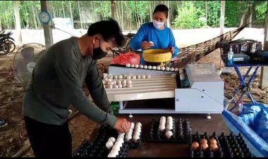 อดีตหนุ่มโรงงานผันตัวมาทำเกษตรผสมผสานสร้างรายได้ครึ่งแสนต่อเดือน