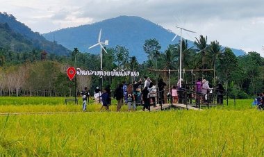 ไอเดียเก๋ เช็คอิน  ฟินกลางทุ่ง @ บันนังสาเรง แลนด์มาร์คใหม่ยะลา