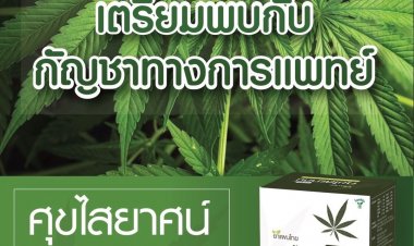 "ไทยเฮิร์บ"เตรียมส่งผลิตภัณฑ์"กัญชา"ตำรับยาศขไสยาศน์รุกตลาดสุขภาพ