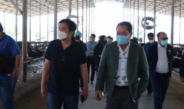 "พ.ต.อ.ทวี"ลุยผลักดันกลุ่มธุรกิจสตาร์ทอัพ-กลุ่มเครือข่ายวิสาหกิจชายแดนใต้