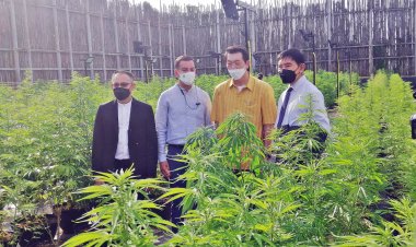 ณุศาศิริ-CSR ทุ่ม1,700 ล.ปรับโฉม'เลเจนด์สยาม'สู่การเป็นเมืองมหัศจรรย์กัญชา