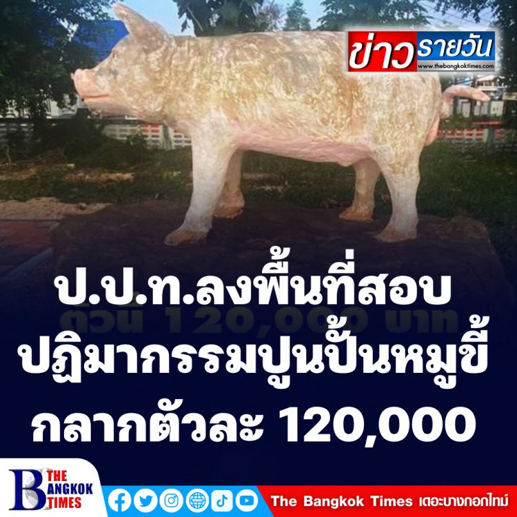 ป.ป.ท.ลงพื้นที่สอบ ดราม่าปฏิมากรรมปูนปั้น หมูขี้กลาก ราคา 120,000 บาท