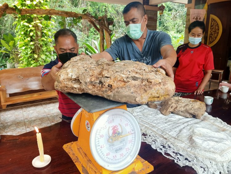 สุดว้าว!พบอำพันกลางทะเลโดยบังเอิญที่ตากใบ