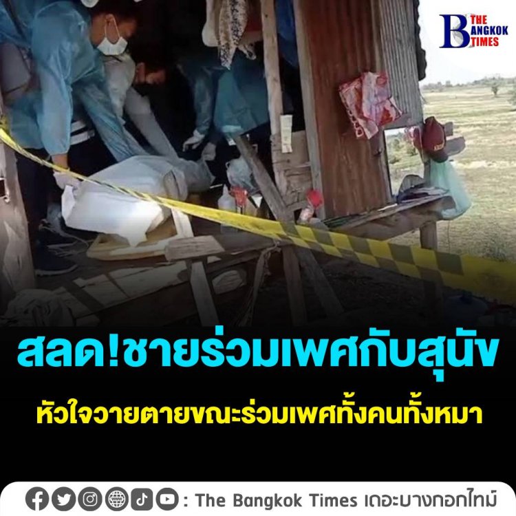 สลด! ชายร่วมเพศกับสุนัข หัวใจวายตายขณะร่วมเพศทั้งคนทั้งหมา