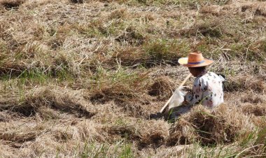 บุรีรัมย์ "ตำน้ำกิน" ในบันทึกต่างจาก สุรินทร์ ตำน้ำกินใน สัมผัสจริง
